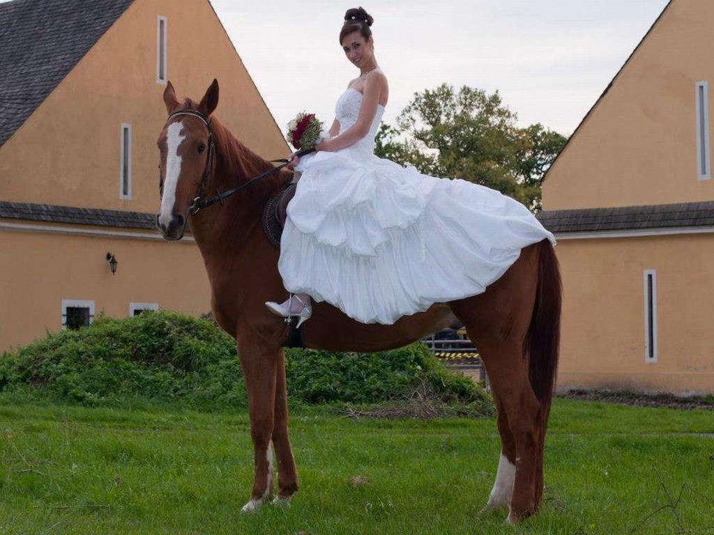 Dvur Olsiny -Hotel And Horse-Riding Karvina Exterior photo