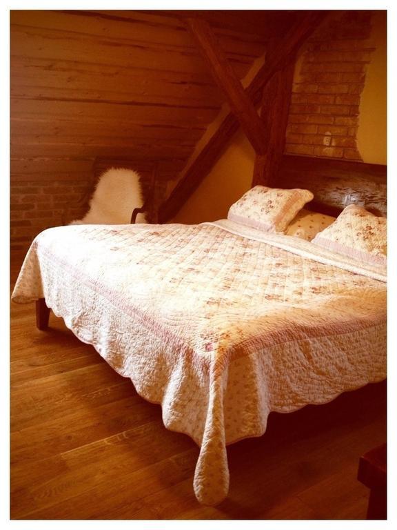 Dvur Olsiny -Hotel And Horse-Riding Karvina Room photo